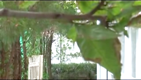 Hot JapStep mother Fucks